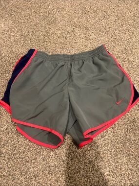 Nike Gray Shorts with Pink Trim and Navy Panels